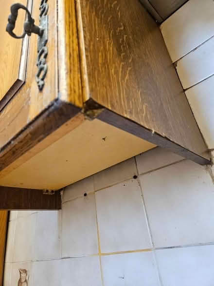 Photo of free Kitchen (Forest Gate, E7) #4