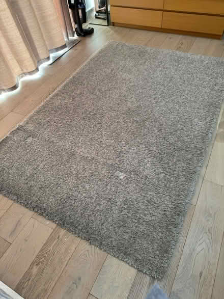Photo of free Large deep pile Rug (HG3) #1