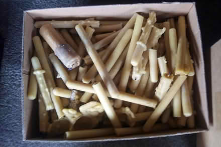 Photo of free Used church candle tapers (South of Eureka Golf Course) #1