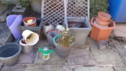 Photo of free Selection of garden items - ALL TO GO AT ONCE (Great Sankey WA5) #1