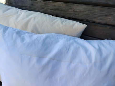 Photo of free 2 x 27" feather cushion pads (CT10 Broadstairs) #3
