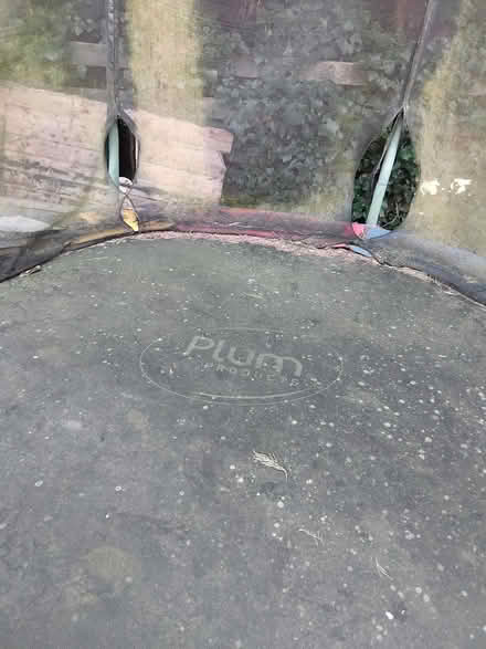 Photo of free Plum Trampoline - 220/230cm diameter (Kenilworth CV8) #2
