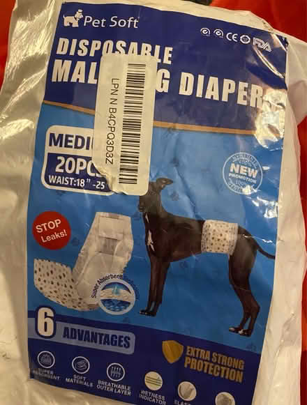 Photo of free 8 male dog diapers (Mimico) #1