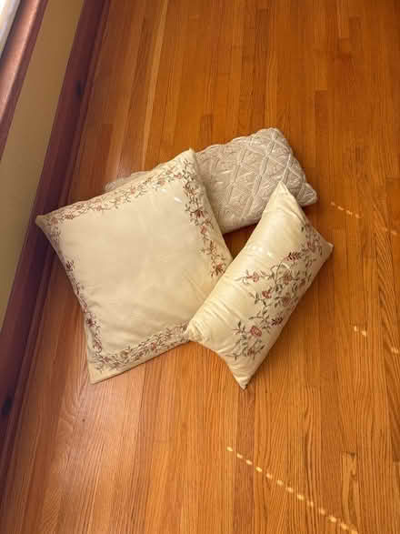 Photo of free Throw pillows, 2 silk (McKennan Park) #1