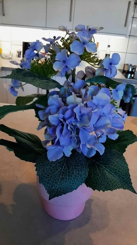 Photo of free artificial hydrangea flower (peacehaven) #1