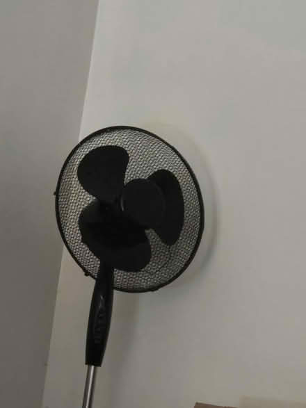 Photo of free Extending standing fan (Crowborough TN6) #1