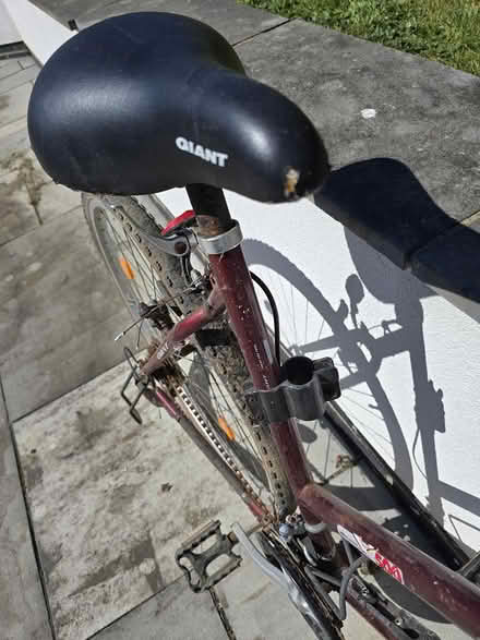 Photo of free Ladies bicycle (Botley SO30) #4