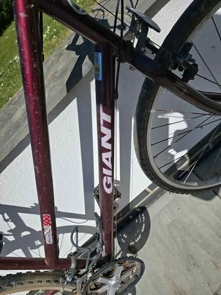 Photo of free Ladies bicycle (Botley SO30) #3