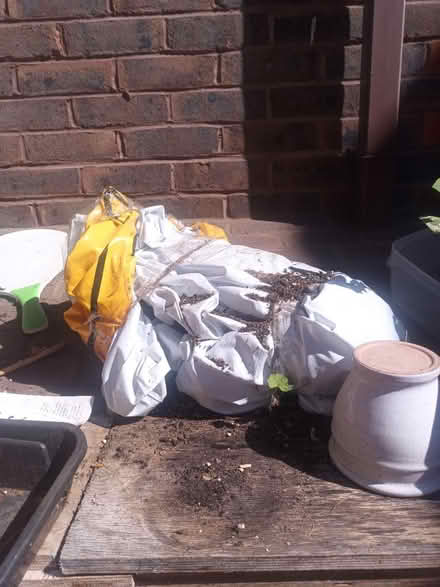 Photo of free Inflatable pelican (elverson road SE13) #1