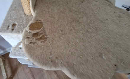 Photo of free Cat tower/scratcher (HP2) #3