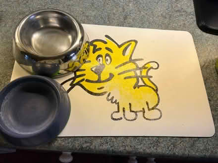 Photo of free Cat bowls and mat (Welwyn Garden City) #1