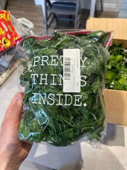 Photo of free Light up plastic foliage/ivy (Hillsborough S6) #2