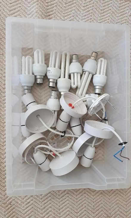 Photo of free Bulbs and pendant lights assortment (Fenlake MK42) #1