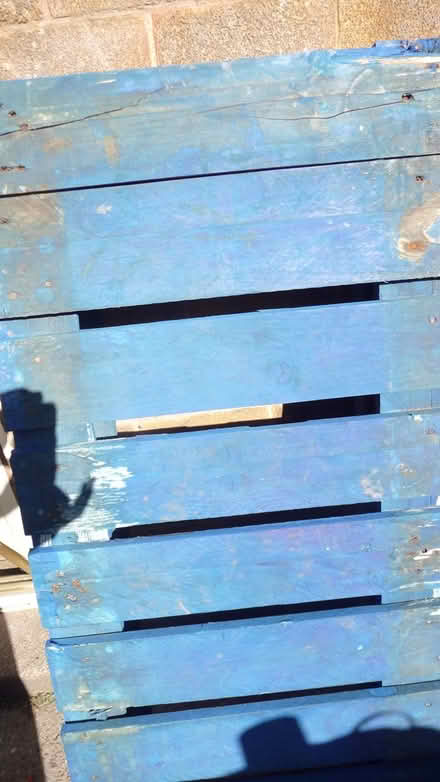 Photo of free Two pallets (Kirk hallam, Ilkeston) #2
