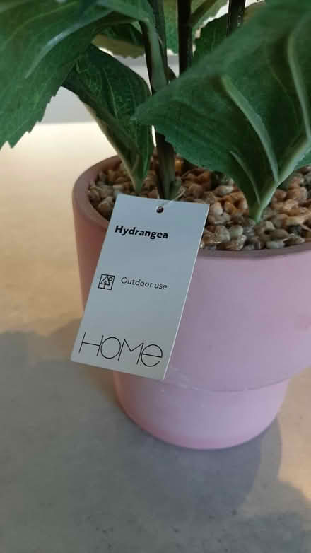 Photo of free artificial hydrangea flower (peacehaven) #2