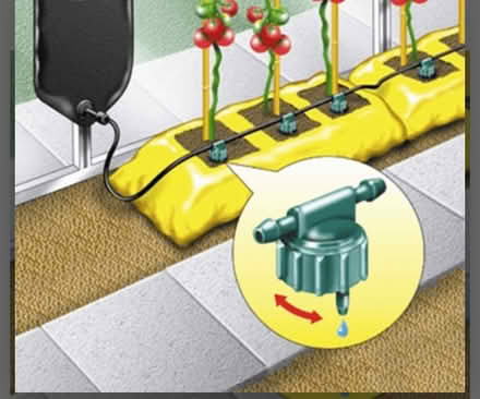 Photo of free Plant watering system (5miles S of Bury St Eds) #1