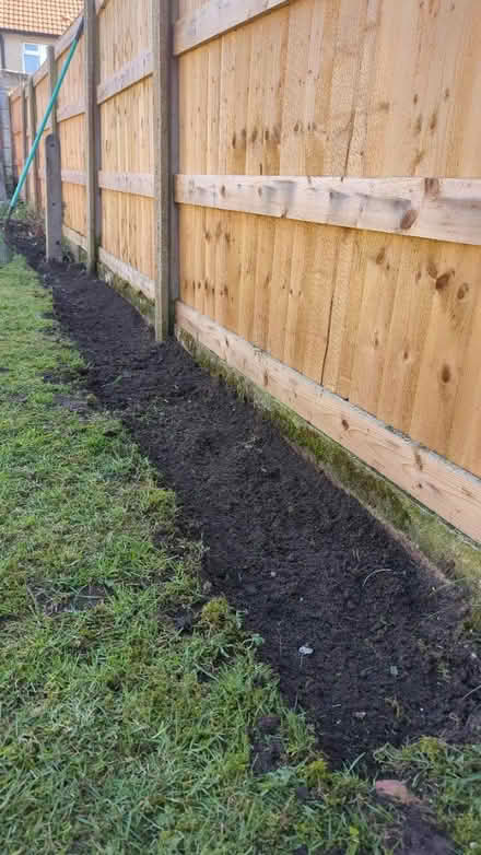 Photo of Garden plants (Ainsdale PR8) #1