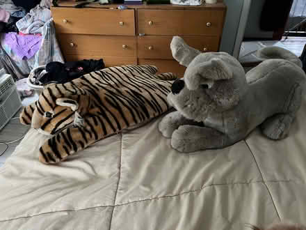 Photo of free Large stuffed animals (Irvington NY) #2