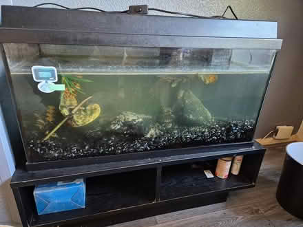 Photo of free Fish tank (Stockport,Manchester SK8) #1