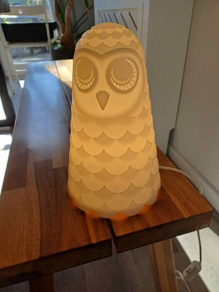 Photo of free Owl lamp (Paignton TQ3) #1