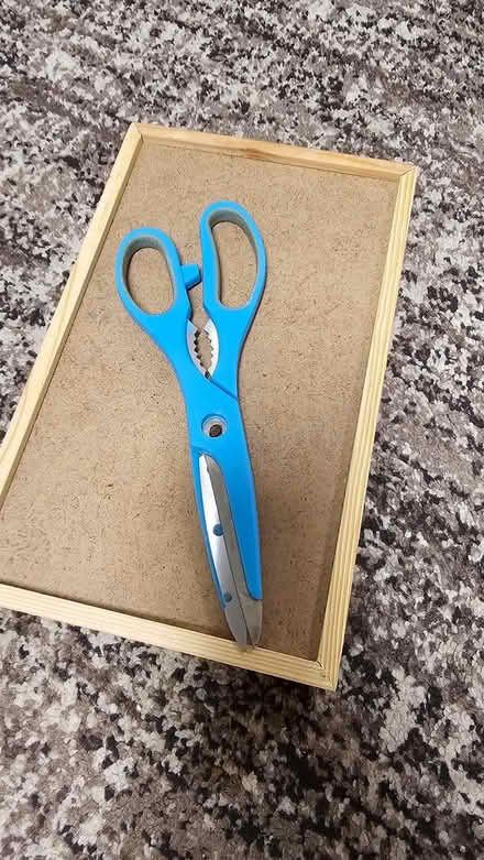 Photo of free Tray، scissors, blender (IG1) #2