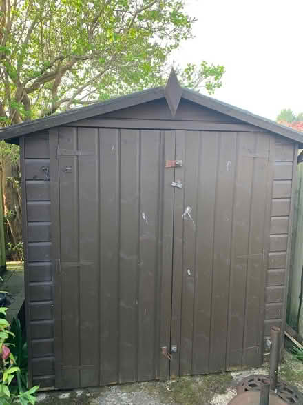 Photo of free Garden shed (Waterlooville PO7) #1