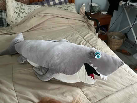 Photo of free Large stuffed animals (Irvington NY) #1