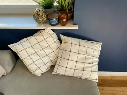Photo of free Pair of cushions (EH11) #1