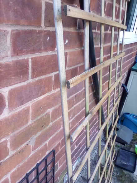 Photo of free Trellis (wooden) (WA13. Lymm area) #2