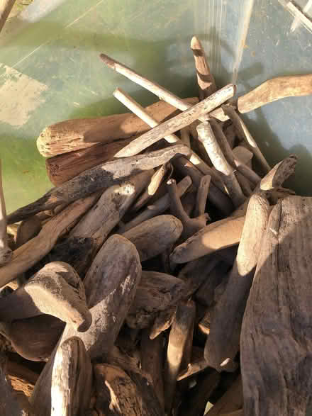 Photo of free Driftwood (Gleadless S14) #2