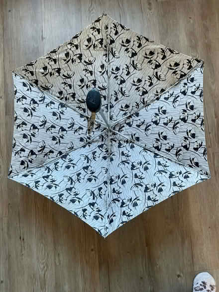 Photo of free Umbrellas (Horsforth, LS18) #3