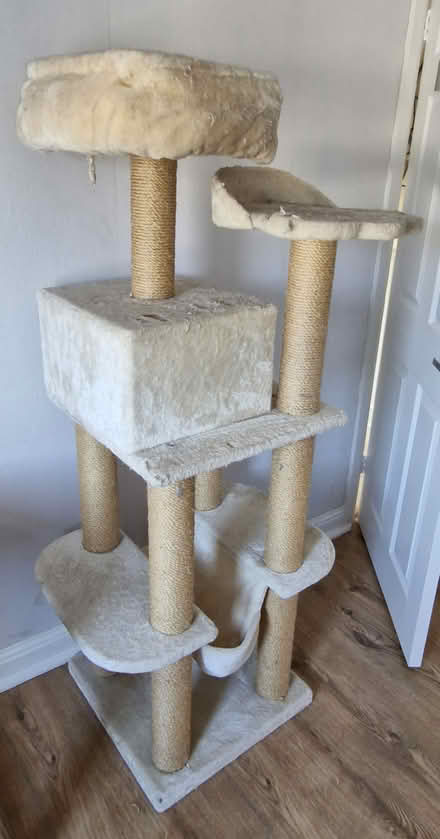Photo of free Cat tower/scratcher (HP2) #4