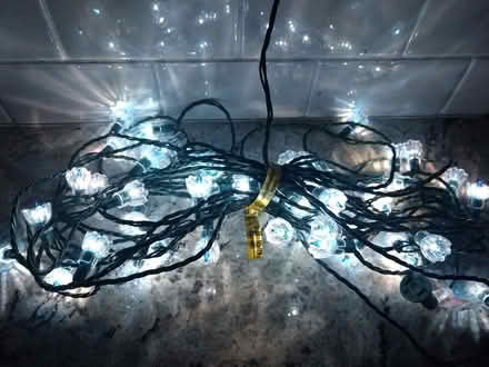 Photo of free Christmas Lights (N. Lakeside in Henrico) #2