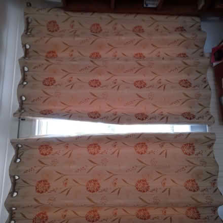 Photo of free Living room curtains (Eastbourne DL1) #1