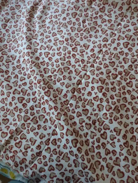 Photo of free Large pieces of fabric for sewing (Mosspark, Glasgow G52) #2