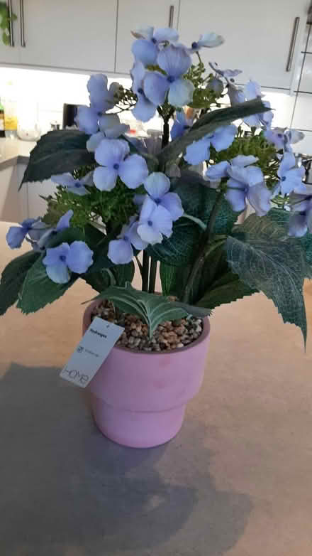 Photo of free artificial hydrangea flower (peacehaven) #3