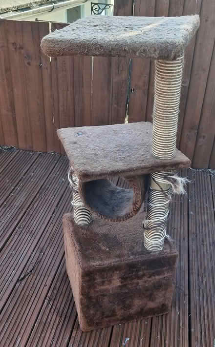 Photo of free Cat tower (HP2) #2