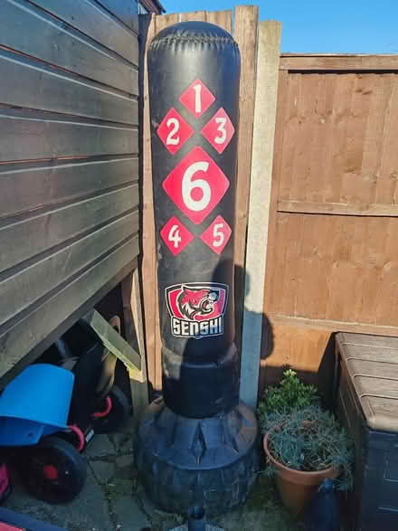 Photo of free Kick boxing bag (RG2) #1