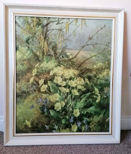 Photo of free Primrose picture (Deneside View DH2) #1