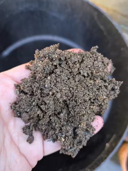 Photo of free Sharp sand (Carlisle CA1) #1