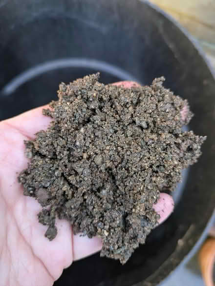 Photo of free Sharp sand (Carlisle CA1) #1