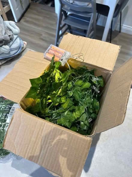 Photo of free Light up plastic foliage/ivy (Hillsborough S6) #1
