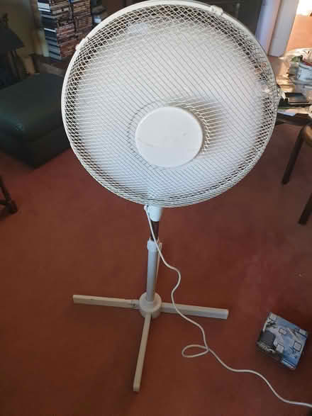 Photo of free 16" floorstanding oscillating fan (The Rock TF3) #1