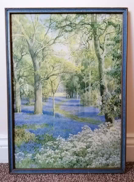 Photo of free Bluebell picture (Deneside View DH2) #1