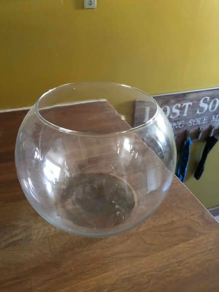 Photo of free Glass fish bowl (Newfield Green S14) #1