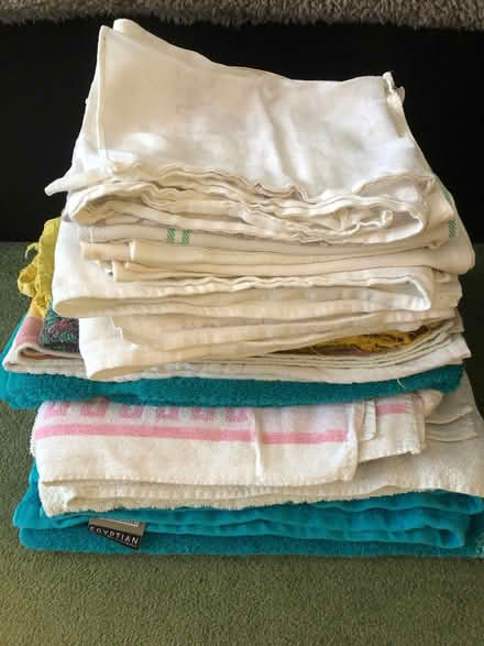 Photo of free Bundle of old towels and tea towels for animal care. (Elstow MK42) #1