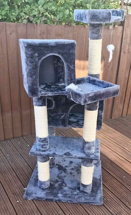 Photo of free Cat tower/scratcher (HP2) #2
