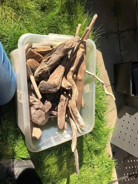 Photo of free Driftwood (Gleadless S14) #1