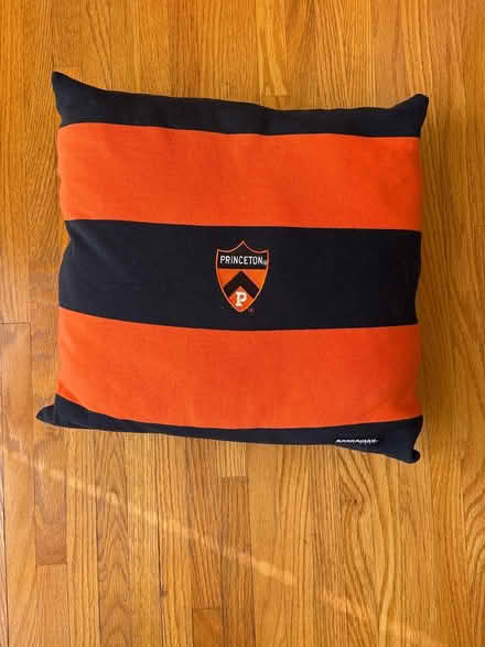 Photo of free Princeton throw pillow (McKennan Park) #1