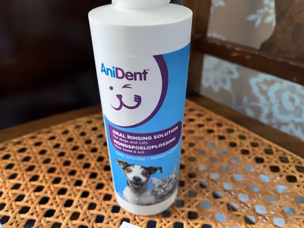 Photo of free Doggy dental supplies (CB2) #3